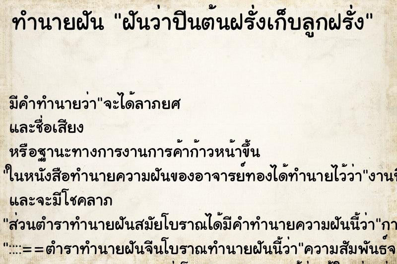 ทำนายฝัน ฝันว่าปีนต้นฝรั่งเก็บลูกฝรั่ง ตำราโบราณ แม่นที่สุดในโลก