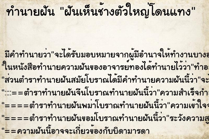 ทำนายฝันฝันเห็นช้างตัวใหญ่โดนแทง ทำนายฝันทำนายฝันฝันเห็นช้างตัวใหญ่โดนแทง