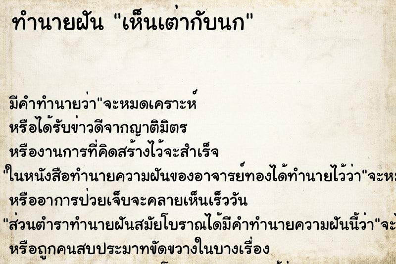 ทำนายฝัน เห็นเต่ากับนก ทำนายฝัน เห็นเต่ากับนก