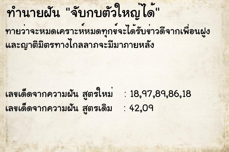 ทำนายฝันทำนายฝันจับกบตัวใหญ่ได้