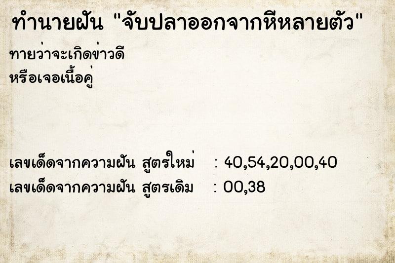 ทำนายฝันจับปลาออกจากหีหลายตัว ทำนายฝันทำนายฝันจับปลาออกจากหีหลายตัว