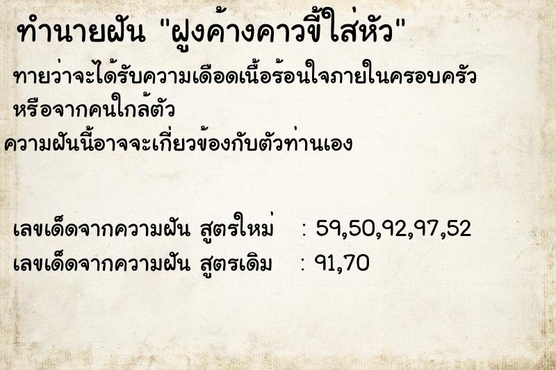 ทำนายฝันฝูงค้างคาวขี้ใส่หัว ทำนายฝันทำนายฝันฝูงค้างคาวขี้ใส่หัว