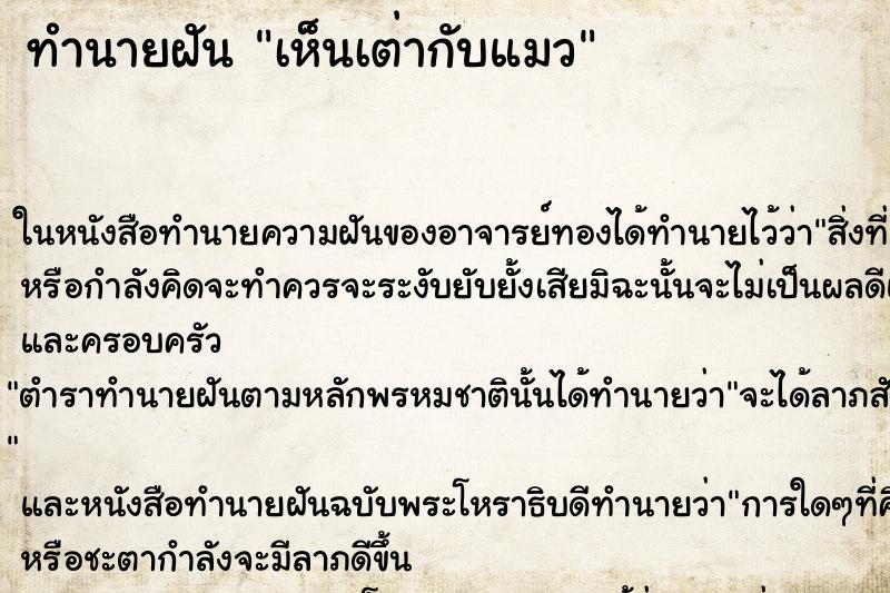 ทำนายฝันทำนายฝันเห็นเต่ากับแมว