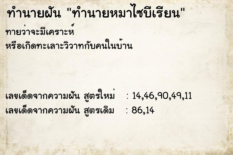 ทำนายฝันทำนายหมาไซบีเรียน ทำนายฝันทำนายฝันทำนายหมาไซบีเรียน