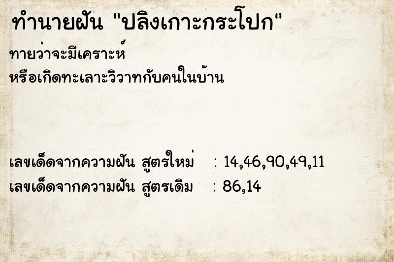 ทำนายฝันทำนายฝันปลิงเกาะกระโปก