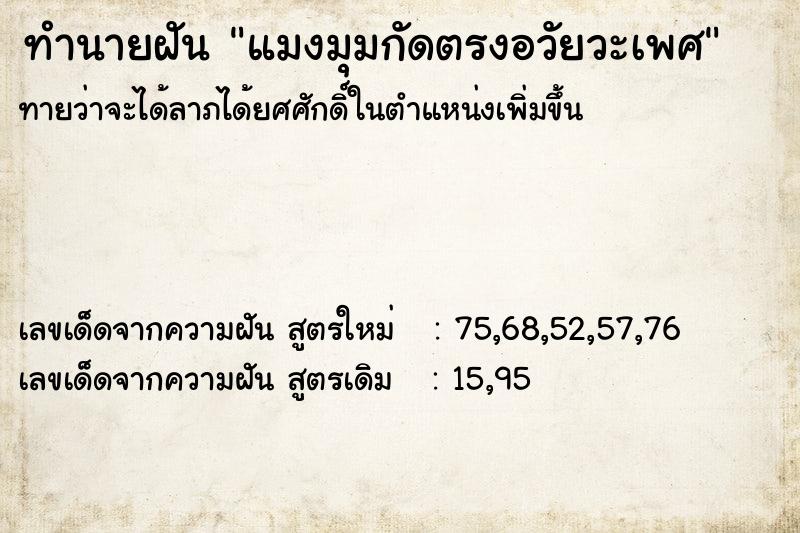 ทำนายฝันทำนายฝันแมงมุมกัดตรงอวัยวะเพศ
