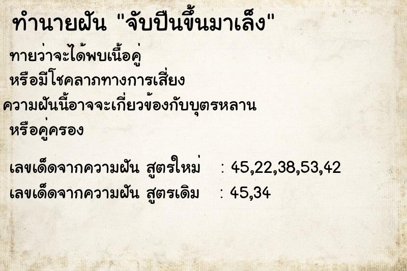 ทำนายฝันจับปืนขึ้นมาเล็ง ทำนายฝันทำนายฝันจับปืนขึ้นมาเล็ง