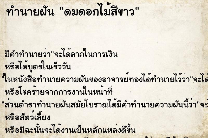 ทำนายฝัน ดมดอกไม้สีขาว ทำนายฝัน ดมดอกไม้สีขาว