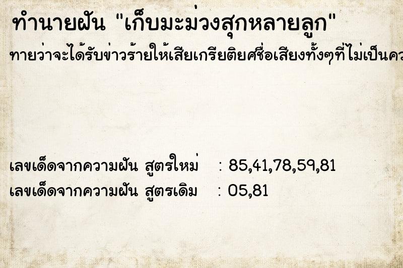ทำนายฝันทำนายฝันเก็บมะม่วงสุกหลายลูก