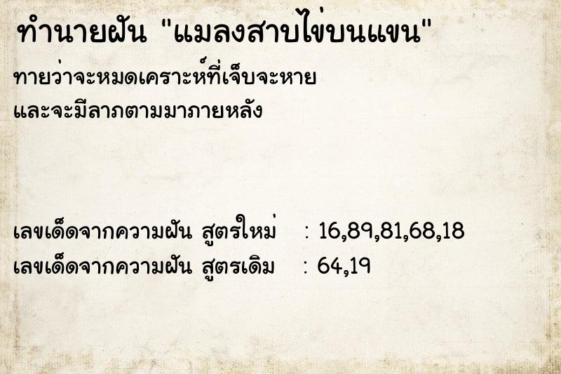 ทำนายฝันทำนายฝันแมลงสาบไข่บนแขน
