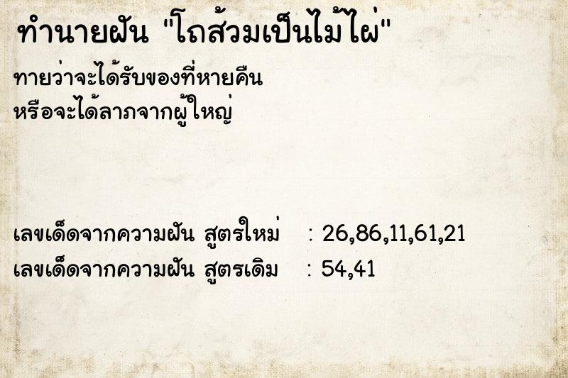 ทำนายฝันทำนายฝันโถส้วมเป็นไม้ไผ่