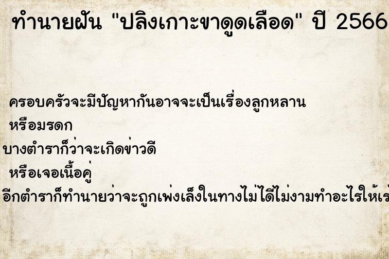 ทำนายฝัน ปลิงเกาะขาดูดเลือด