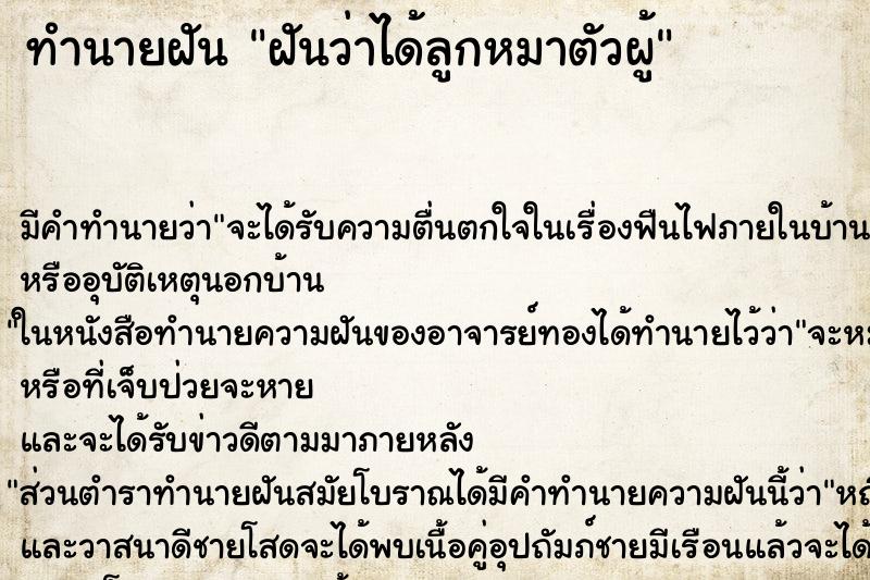 ทำนายฝัน ฝันว่าได้ลูกหมาตัวผู้ ทำนายฝัน ฝันว่าได้ลูกหมาตัวผู้