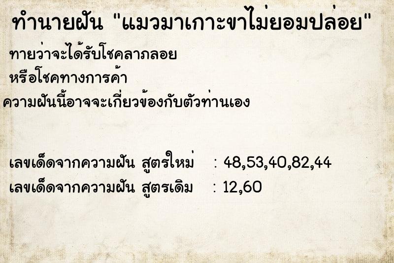 ทำนายฝันทำนายฝันแมวมาเกาะขาไม่ยอมปล่อย