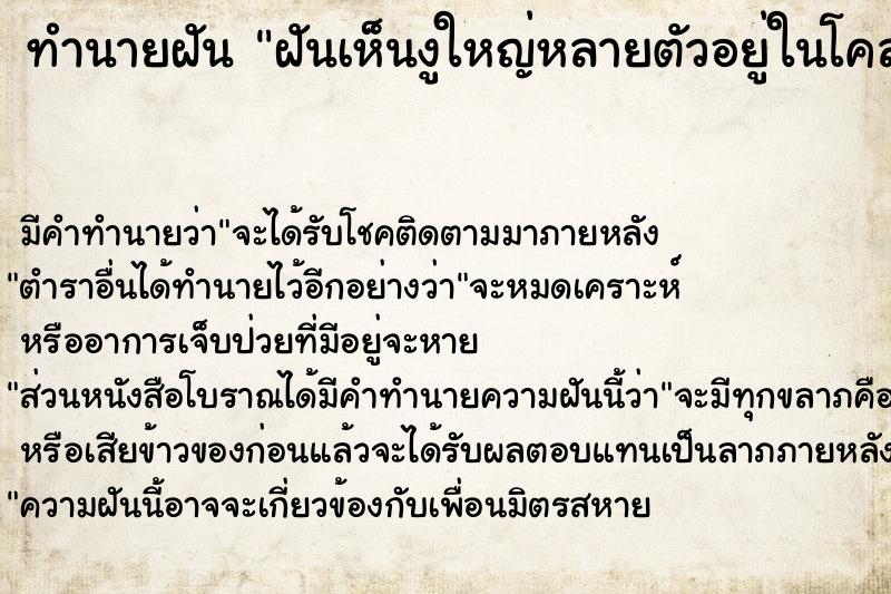 ทำนายฝัน ฝันเห็นงูใหญ่หลายตัวอยู่ในโคลน ทำนายฝัน ฝันเห็นงูใหญ่หลายตัวอยู่ในโคลน