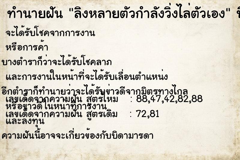 ทำนายฝัน ลิงหลายตัวกำลังวิ่งไล่ตัวเอง ทำนายฝัน ลิงหลายตัวกำลังวิ่งไล่ตัวเอง