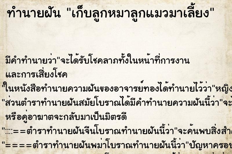 ทำนายฝัน เก็บลูกหมาลูกแมวมาเลี้ยง ทำนายฝัน เก็บลูกหมาลูกแมวมาเลี้ยง
