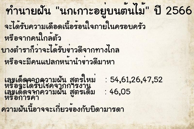 ทำนายฝัน นกเกาะอยู่บนต้นไม้ ตำราโบราณ แม่นที่สุดในโลก