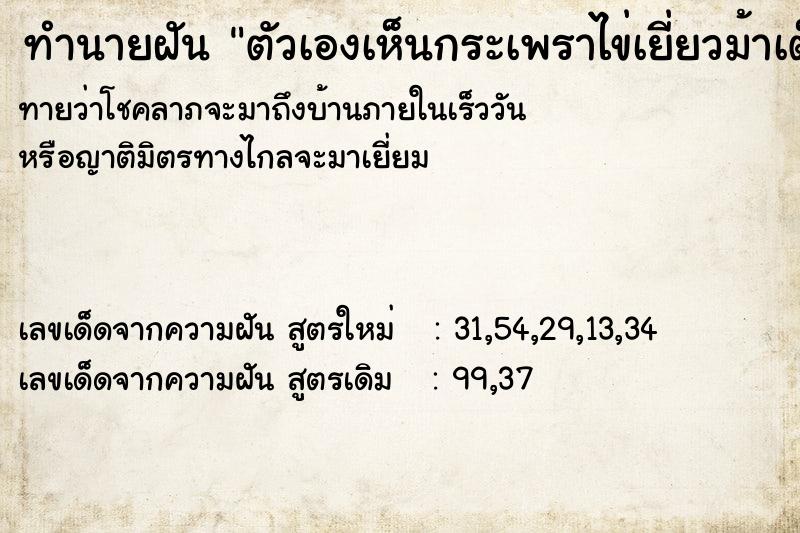 ทำนายฝันทำนายฝันตัวเองเห็นกระเพราไข่เยี่ยวม้าเต็มจาน