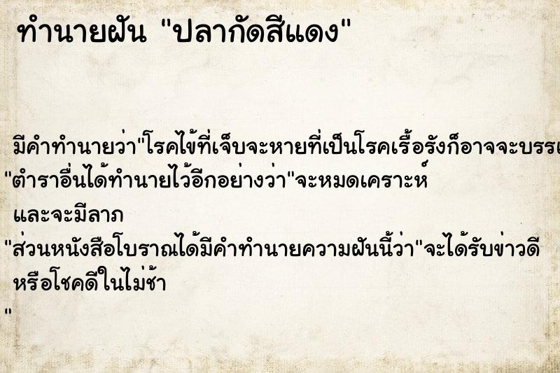 ทำนายฝัน ปลากัดสีแดง ทำนายฝัน ปลากัดสีแดง