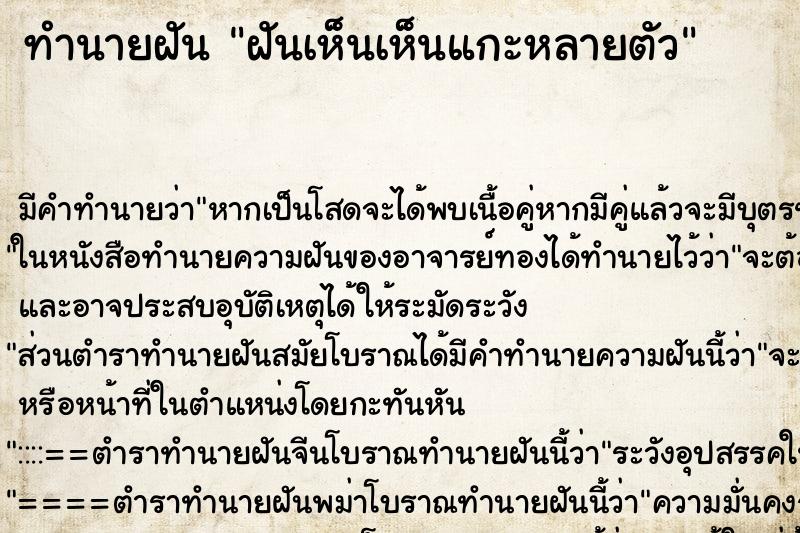 ทำนายฝัน ฝันเห็นเห็นแกะหลายตัว ทำนายฝัน ฝันเห็นเห็นแกะหลายตัว