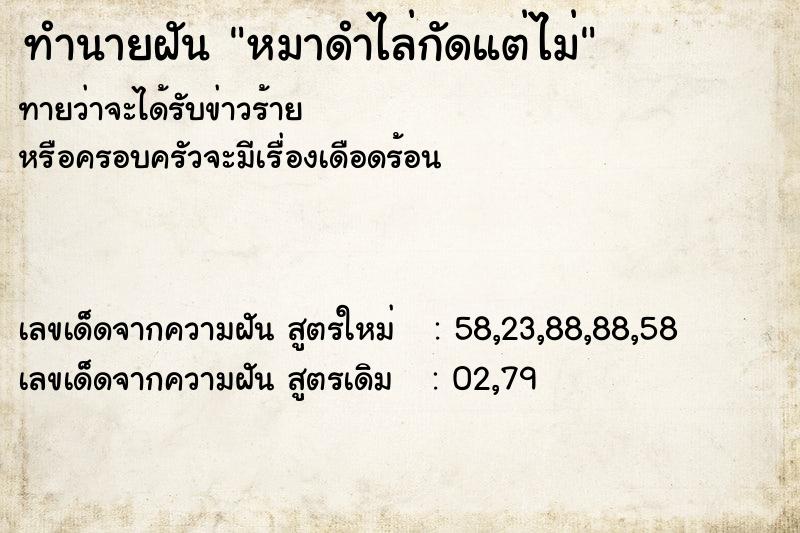 ทำนายฝันทำนายฝันหมาดำไล่กัดแต่ไม่