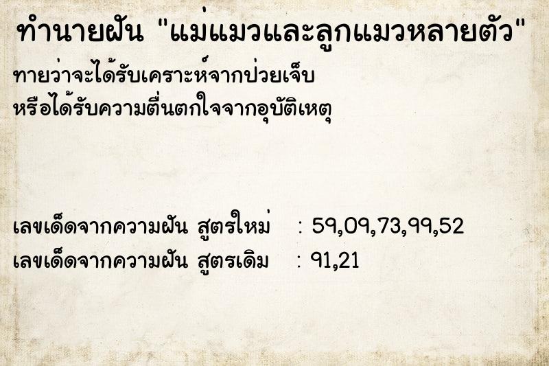 ทำนายฝัน แม่แมวและลูกแมวหลายตัว ทำนายฝัน แม่แมวและลูกแมวหลายตัว