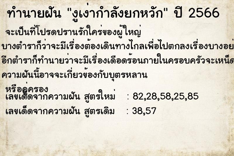 ทำนายฝัน งูเง่ากำลังยกหวัก ทำนายฝัน งูเง่ากำลังยกหวัก