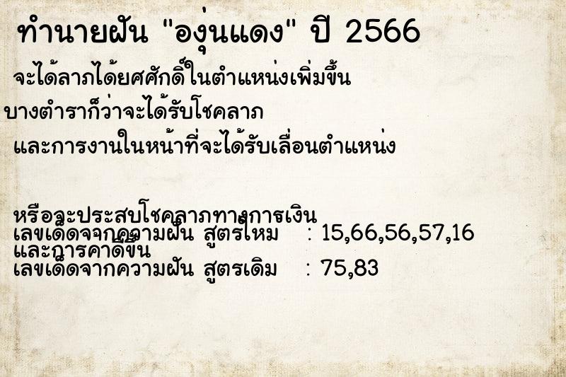 ทำนายฝัน องุ่นแดง ตำราโบราณ แม่นที่สุดในโลก