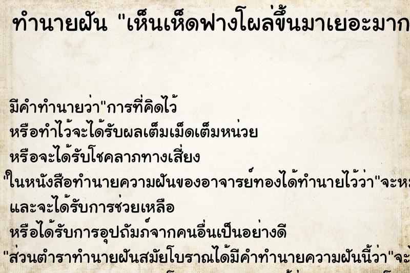 ทำนายฝัน เห็นเห็ดฟางโผล่ขึ้นมาเยอะมาก ทำนายฝัน เห็นเห็ดฟางโผล่ขึ้นมาเยอะมาก