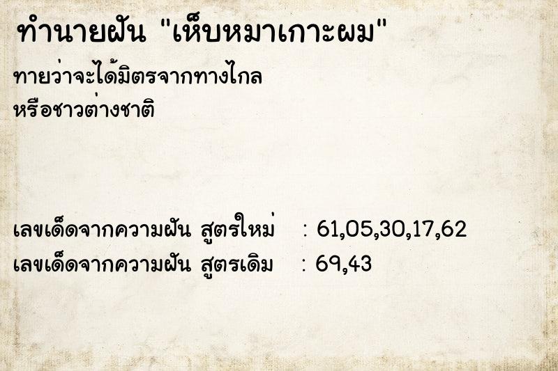ทำนายฝัน เห็บหมาเกาะผม ทำนายฝัน เห็บหมาเกาะผม