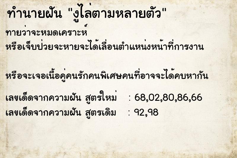 ทำนายฝันงูไล่ตามหลายตัว ทำนายฝันทำนายฝันงูไล่ตามหลายตัว