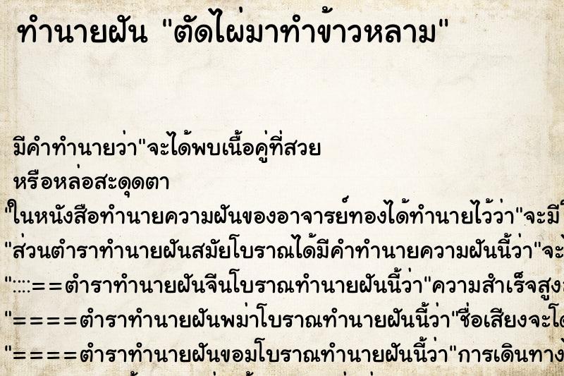 ทำนายฝัน ตัดไผ่มาทำข้าวหลาม ทำนายฝัน ตัดไผ่มาทำข้าวหลาม