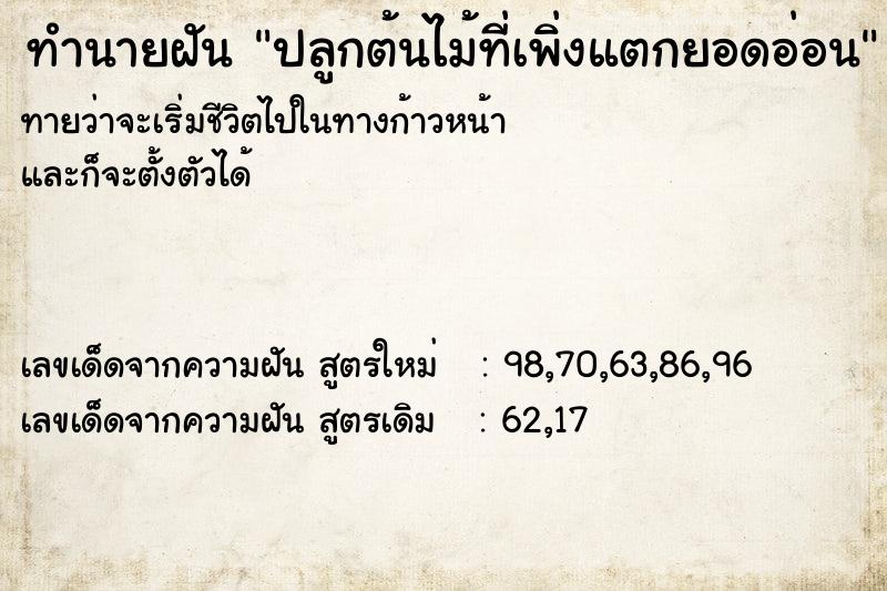 ทำนายฝันทำนายฝันปลูกต้นไม้ที่เพิ่งแตกยอดอ่อน