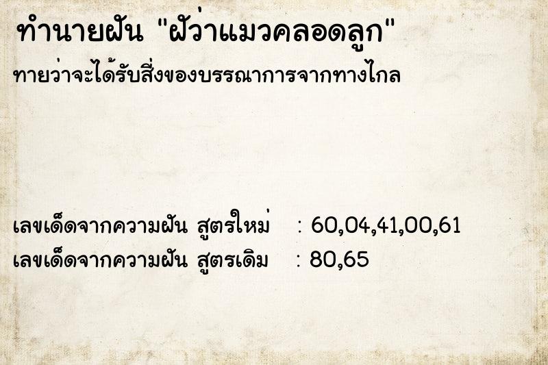 ทำนายฝันทำนายฝันฝัว่าแมวคลอดลูก