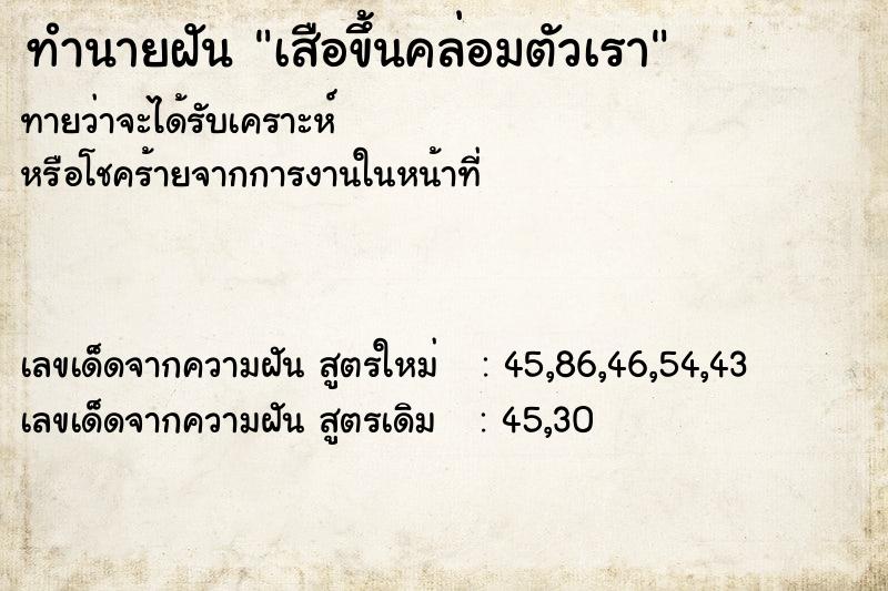 ทำนายฝัน เสือขึ้นคล่อมตัวเรา ทำนายฝัน เสือขึ้นคล่อมตัวเรา