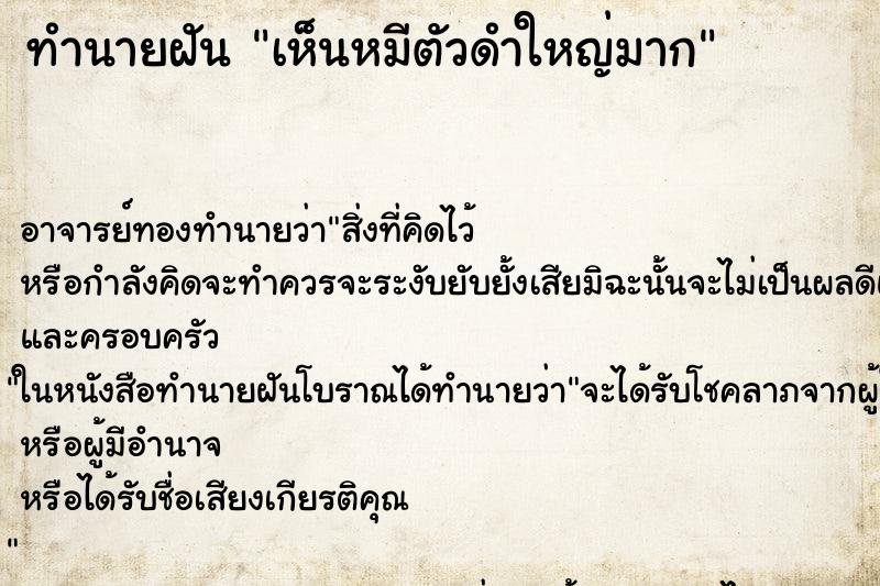 ทำนายฝันทำนายฝันเห็นหมีตัวดำใหญ่มาก