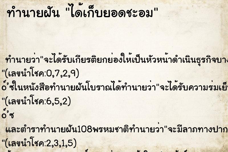 ทำนายฝัน ได้เก็บยอดชะอม ตำราโบราณ แม่นที่สุดในโลก