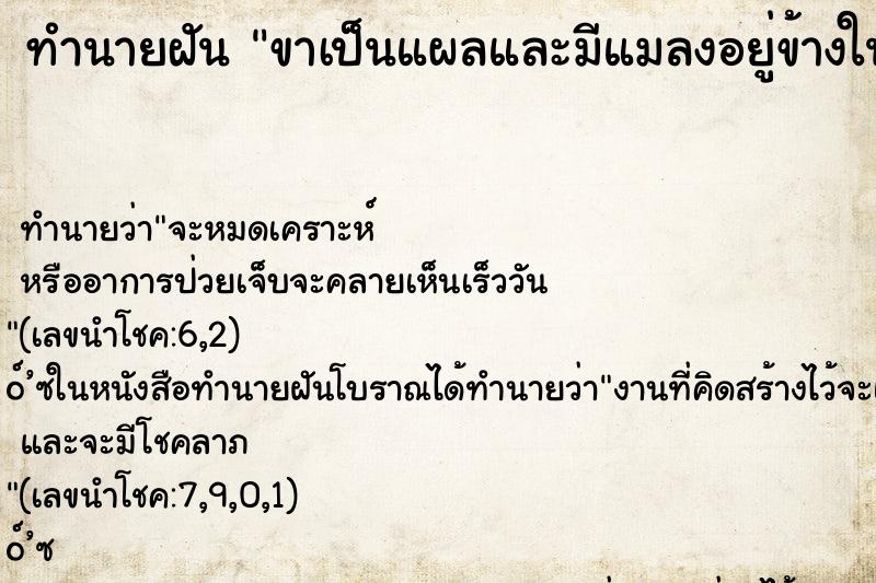 ทำนายฝันขาเป็นแผลและมีแมลงอยู่ข้างในเป็นโพรงเต็ ทำนายฝันทำนายฝันขาเป็นแผลและมีแมลงอยู่ข้างในเป็นโพรงเต็