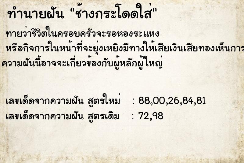 ทำนายฝันช้างกระโดดใส่ ทำนายฝันทำนายฝันช้างกระโดดใส่