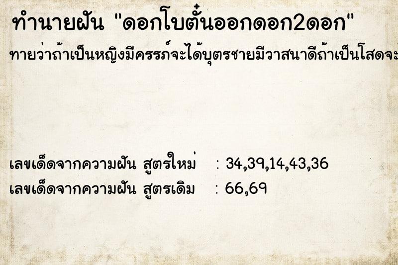 ทำนายฝันทำนายฝันดอกโบตั๋นออกดอก2ดอก