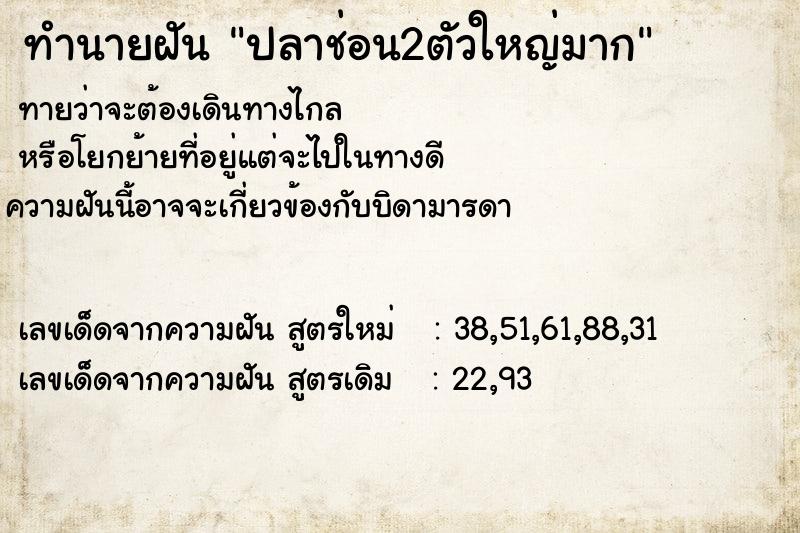 ทำนายฝันทำนายฝันปลาช่อน2ตัวใหญ่มาก