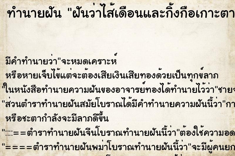 ทำนายฝันทำนายฝันฝันว่าไส้เดือนและกิ้งกือเกาะตามตัว