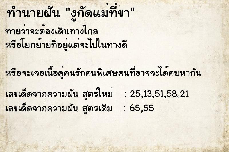 ทำนายฝันงูกัดแม่ที่ขา ทำนายฝันทำนายฝันงูกัดแม่ที่ขา