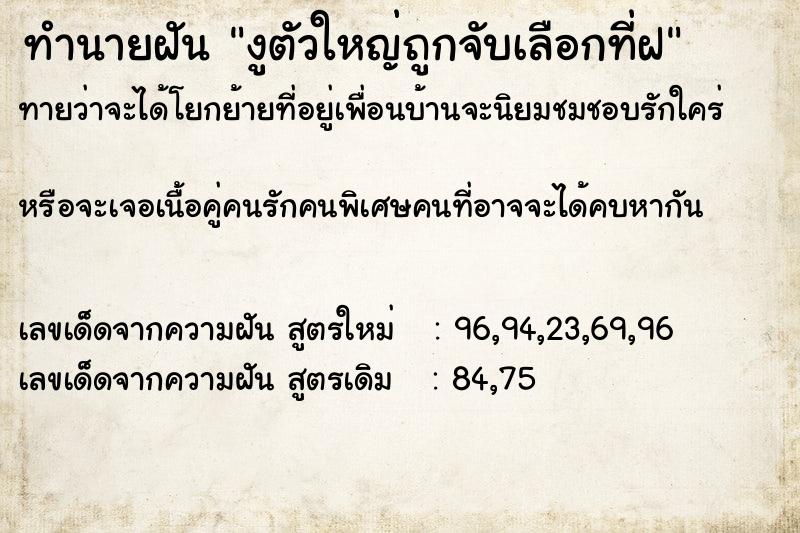 ทำนายฝันงูตัวใหญ่ถูกจับเลือกที่ฝ ทำนายฝันทำนายฝันงูตัวใหญ่ถูกจับเลือกที่ฝ