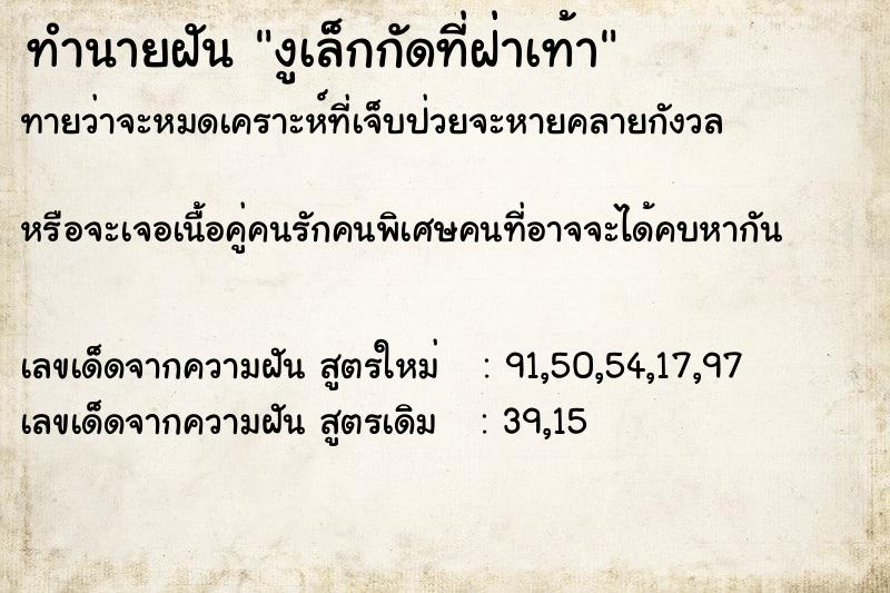 ทำนายฝันทำนายฝันงูเล็กกัดที่ฝ่าเท้า