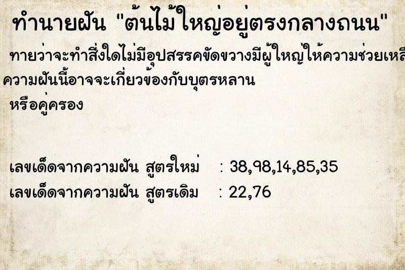 ทำนายฝัน ต้นไม้ใหญ่อยู่ตรงกลางถนน ทำนายฝัน ต้นไม้ใหญ่อยู่ตรงกลางถนน