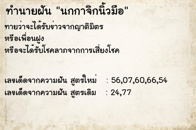ทำนายฝันนกกาจิกนิ้วมือ ทำนายฝันทำนายฝันนกกาจิกนิ้วมือ