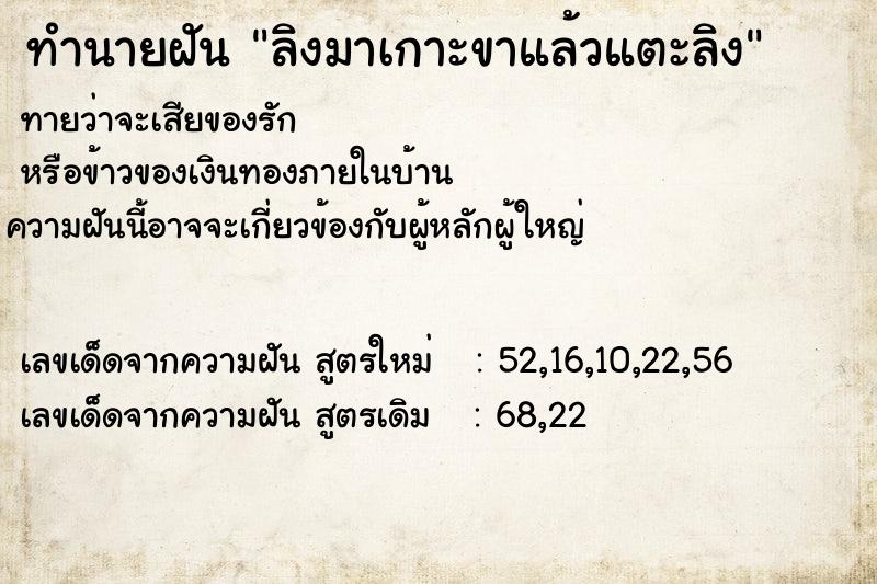 ทำนายฝันทำนายฝันลิงมาเกาะขาแล้วแตะลิง