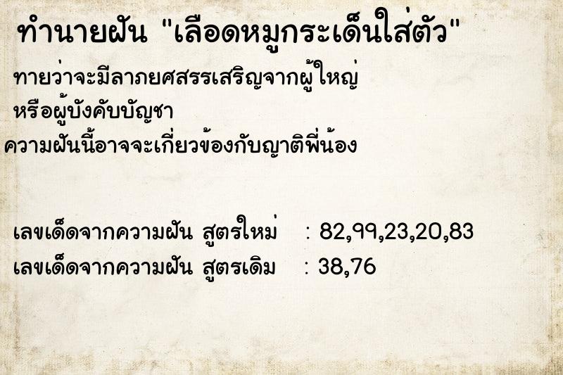 ทำนายฝันทำนายฝันเลือดหมูกระเด็นใส่ตัว